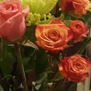 Meet your Posher, Joy